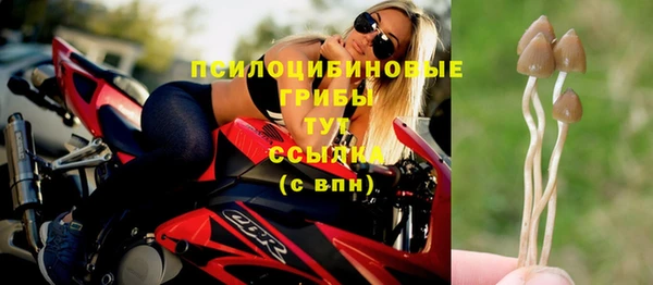 трава Нея