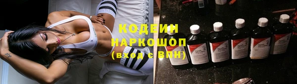 шишки Новодвинск