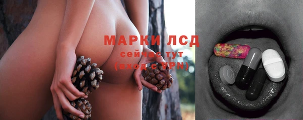 гашик Новокубанск
