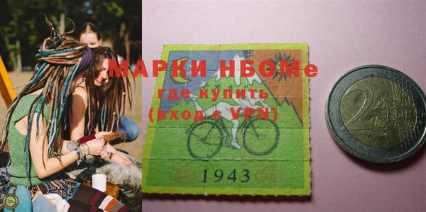 шишки Новодвинск