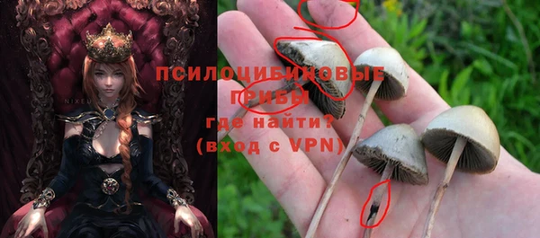 шишки Новодвинск