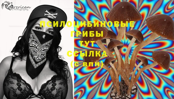 трава Нея