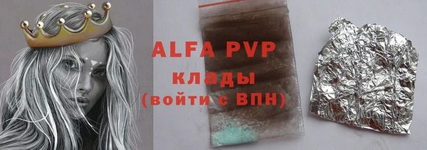 гашик Новокубанск