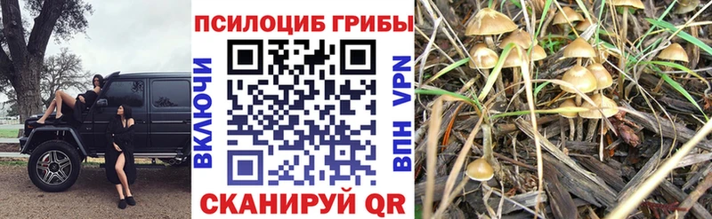 Галлюциногенные грибы прущие грибы  Уфа 